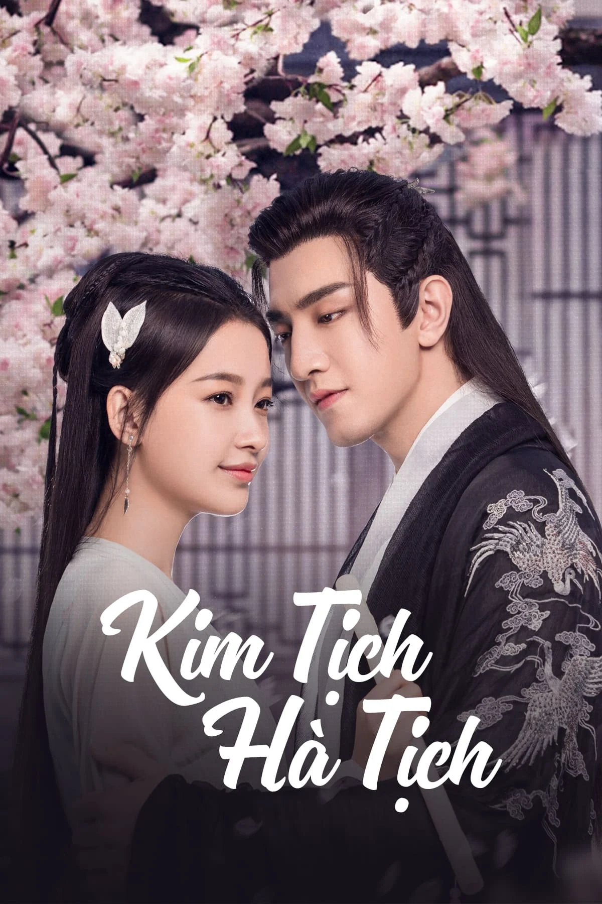 Kim Tịch Hà Tịch Kim Tịch Hà Tịch